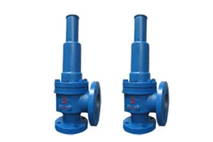 Safety Valves Ahmedabad