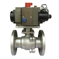 Globe Valve