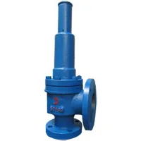 Safety Valve
