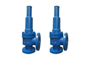 Safety Valve